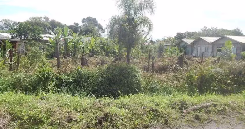 Terreno à venda na RUA BOGOTÁ, Nereidas, Guaratuba