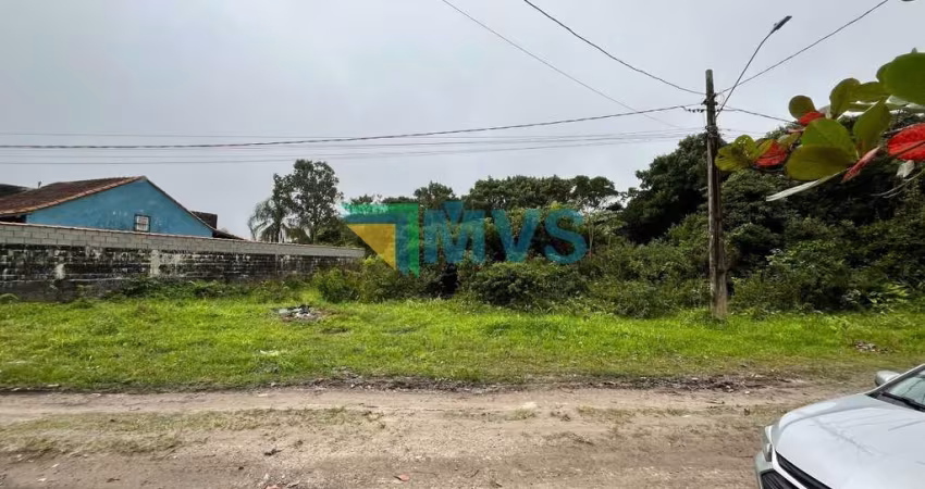 Terreno à Venda em Itanhaém-SP, Jardim das Palmeiras - 264m² de Área