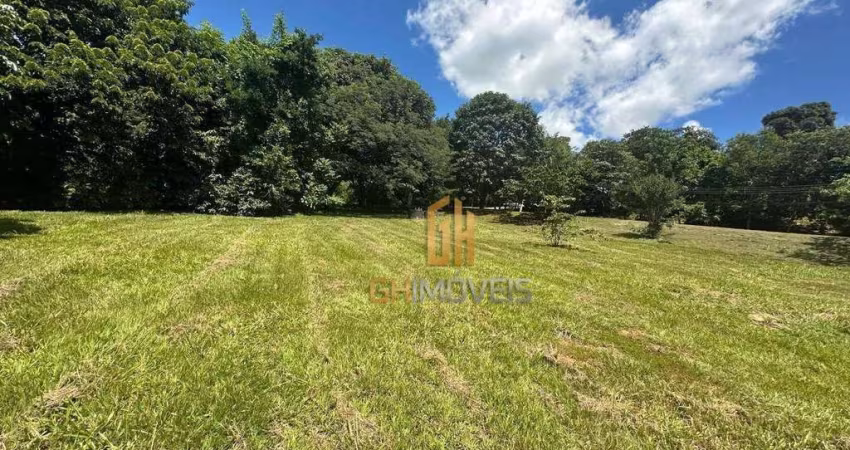 Terreno à venda, 1965 m² por R$ 1.850.000,00 - Residencial Aldeia do Vale - Goiânia/GO