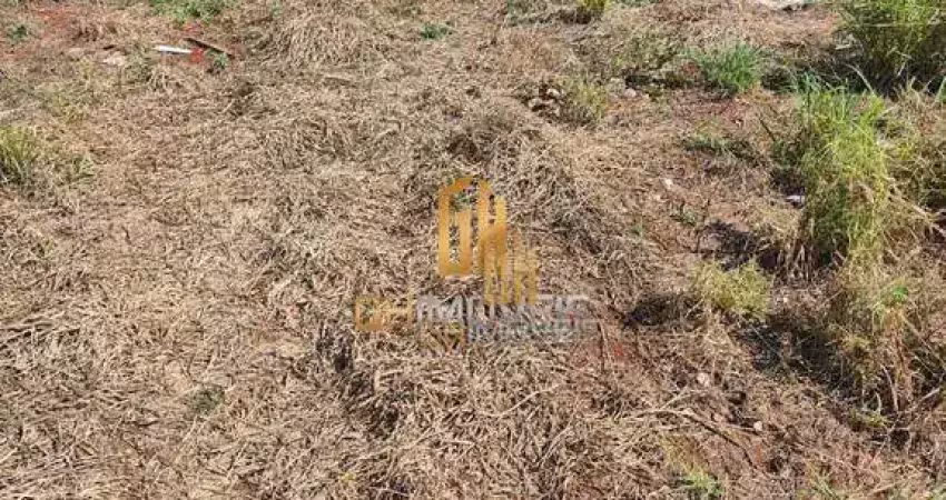 Terreno à venda, 360 m² por r$ 360.000,00 - residencial campos elíseos - rio verde/go
