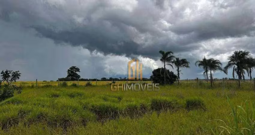 Chácara com 1 dormitório à venda, 1700 m² por r$ 160.000 - zona rural - rio verde/go