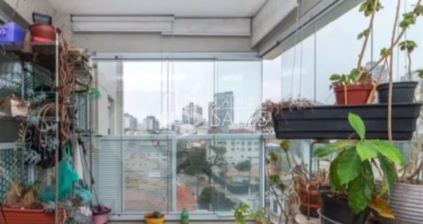 Imperdível! Apartamento à venda em SP, Vila Dom Pedro I: 3 quartos, 1 suíte, 2 salas, 2 banheiros, 2 vagas, 65m², varanda gourmet, aceita pet.