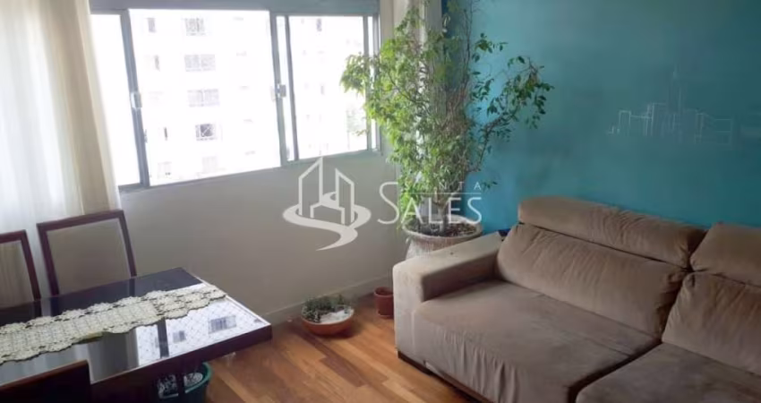 Apartammento de 65 m2