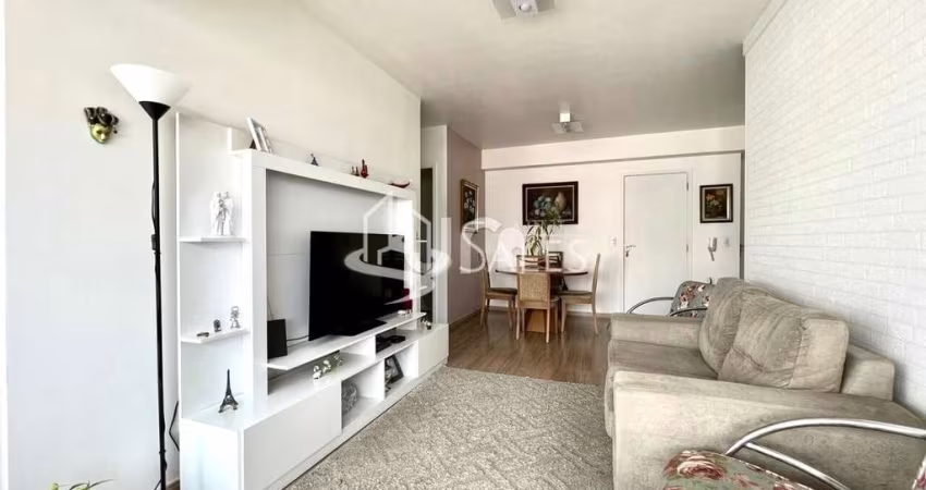 Apartamento 3 dormitórios Cambuci