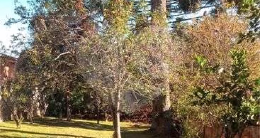 Terreno à venda em Boa Vista - PR