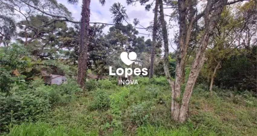 Terreno à venda na Rua Carlos Klemtz, 1011, Fazendinha, Curitiba