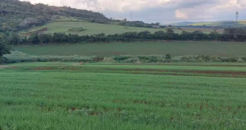 Sitio a venda  14,95 alqueires   zona sul de londrina 1,5 km da pr 445 .