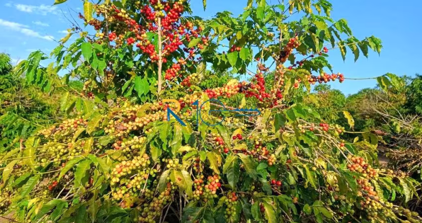 Sitio a Venda área total de 7,68 Alqueires , região de Pinhalão PR  .