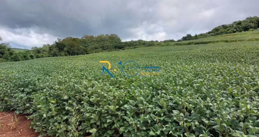 Sitio a venda  área total de 8,8 alqueires  plantando 6  região de tamarana