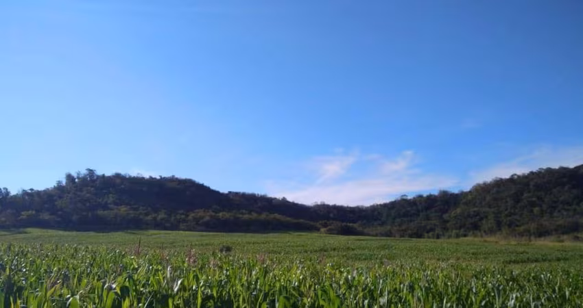 Sítio a Venda   na cidade de Assaí PR  área total 13,70 Alqueires