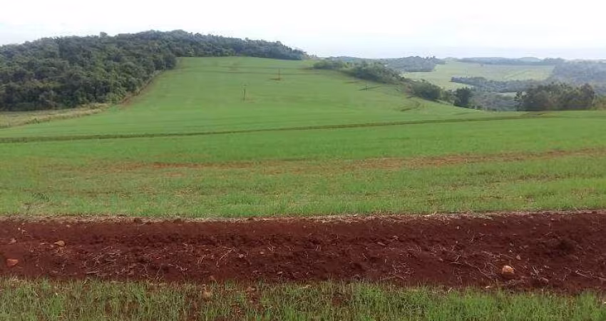 Sítio a Venda área de 17,5 Alqueires, Arrendada  plantando 10 Alq Assaí PR