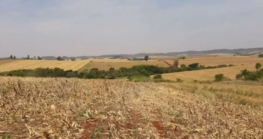 Sitio a venda  com uma área de 10 alqueires  na região de jataizinho paraná