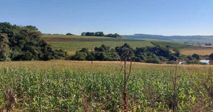 Sitio a venda  área  de 5,9 alqueires   plantando 4 alqueires  sertanópolis