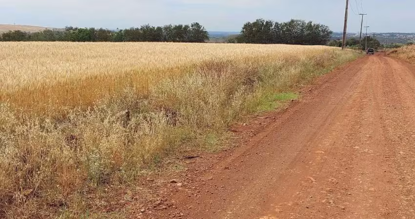 Sitio a venda   área  de 4 alqueires  gleba primavera ibiporã pr