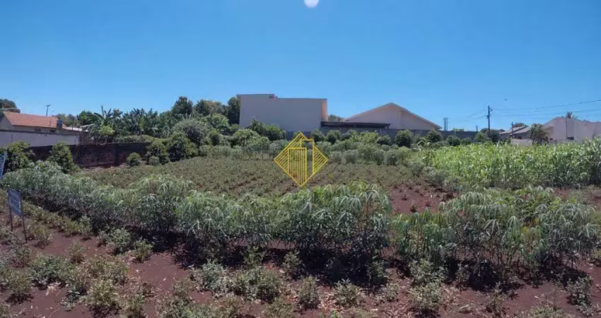 Terreno à venda no Dallas, Palotina 