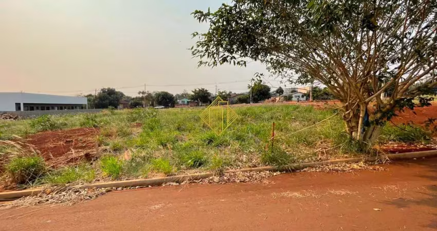 Lote ufpr jardim terra nostra, 3 quadras da ufpr palotina.