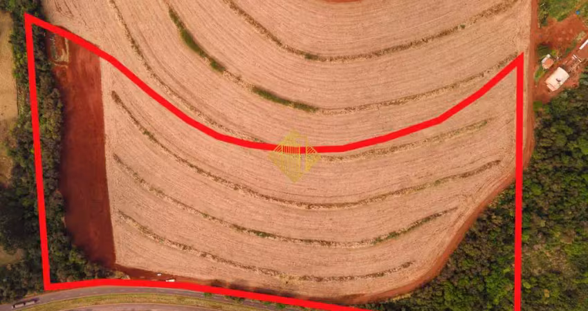 Terreno à venda no Jardim Europa, Toledo 