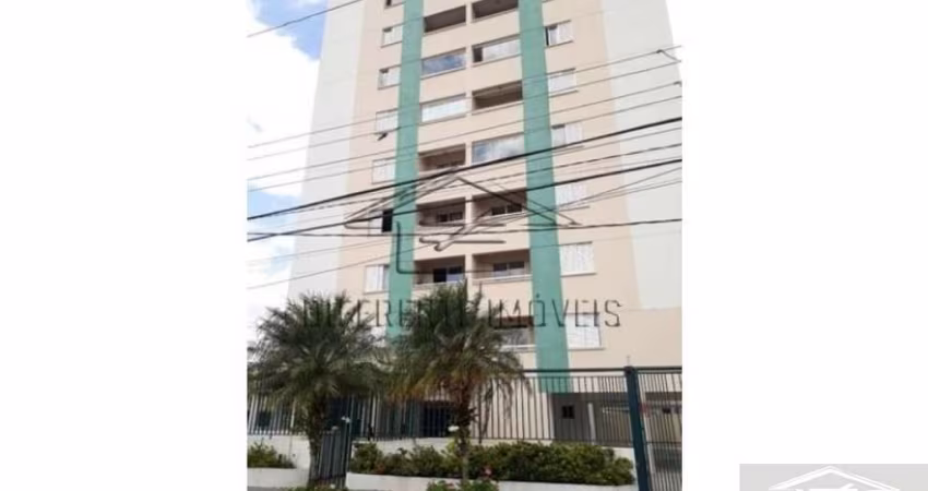 Lindo Apartamento 3 Dormitórios