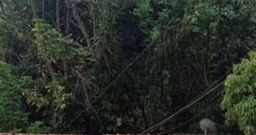 Chácara com 2 dormitórios à venda, 5000 m² por R$ 750.000,00 - Zona Rural - Patrocínio Paulista/SP