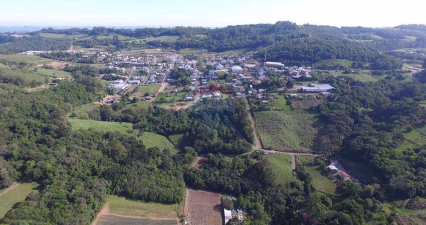 Terreno no Centro de Nova Pádua c/ vista espetacular!