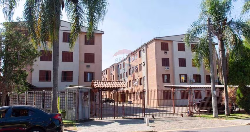 Apartamento com Ótimo Preço na Rua Rio Branco, Cachoeirinha.