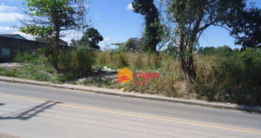 Terreno plano, muito perto da BR101, 5.000 m², R$ 900.000,00 - Santa Luzia - São Gonçalo/RJ