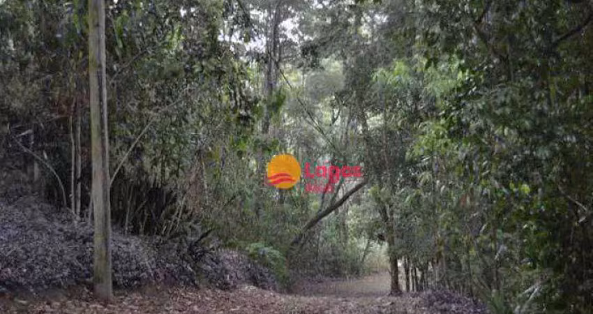 Terreno em local bastante arborizado, ideal para loteamento ou condomínio horizontal, 202.000 m², r$ 1.780.000,00 - vila progresso - niterói/rj