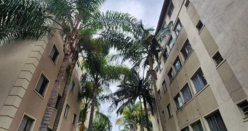 Apartamento com 3 dormitórios à venda, 55 m² por R$ 350.000,00 - Cidade dos Bandeirantes - São Paulo/SP