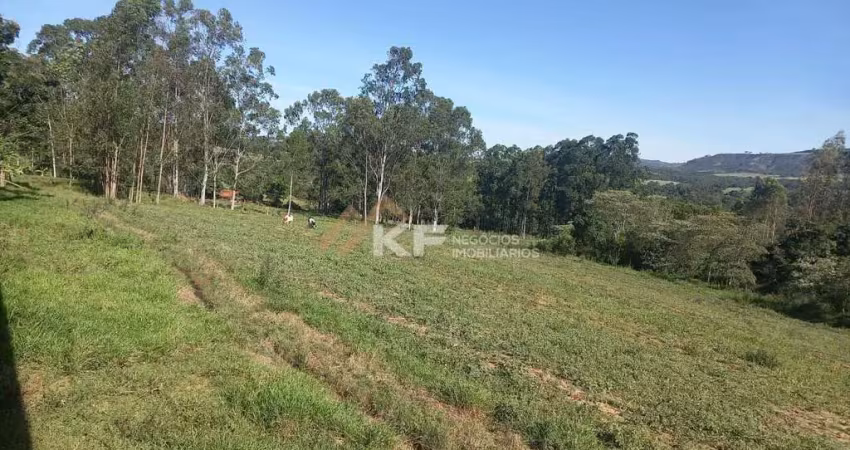Fazenda à venda no Centro, Santo Antônio da Alegria 