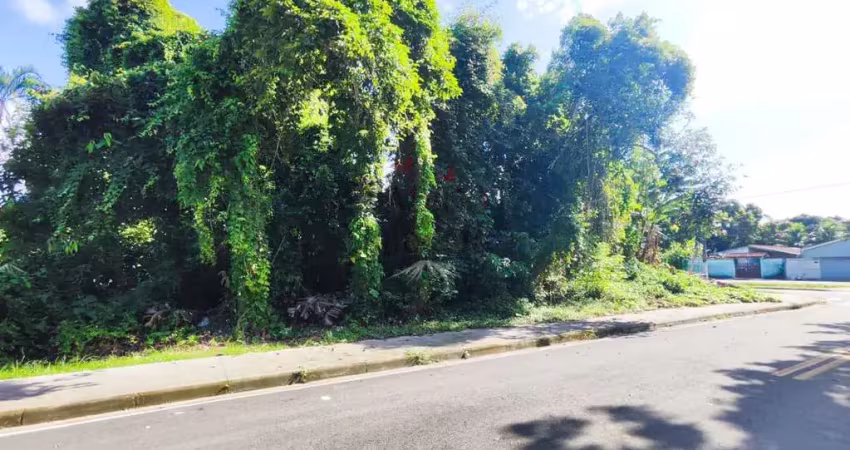 Terreno de esquina no bairro da vista alegre, em bertioga.