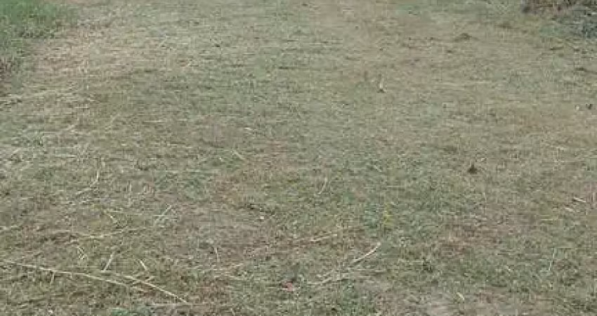 Terreno à venda no Jardim das Palmeiras, Itanhaém 