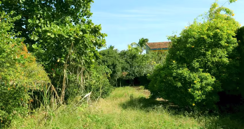 Terreno à venda no Suarão, Itanhaém 