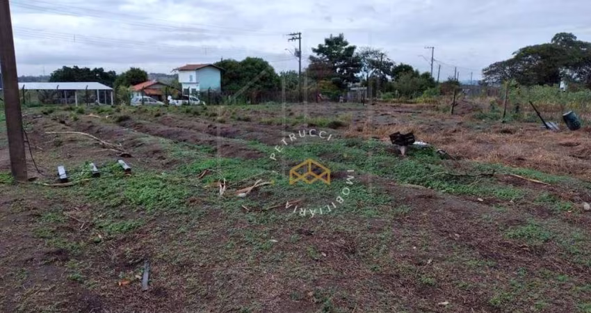 Terreno à venda, 5000 m² por R$ 550.000,00 - Campo Grande - Campinas/SP
