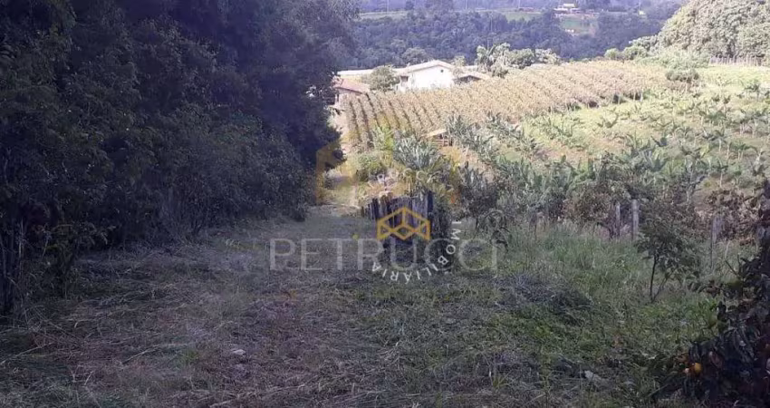 Chácara com 3 dormitórios à venda, 24000 m² por r$ 1.500.000,00 - condomínio jardim paulista ii - vinhedo/sp