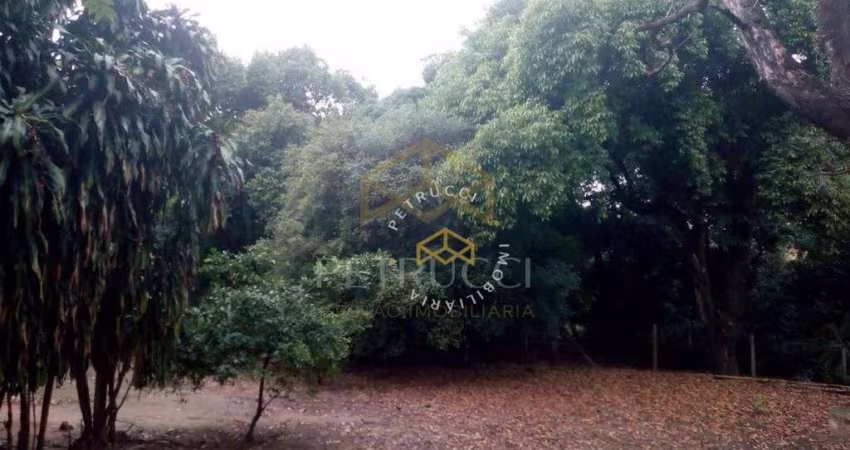 Chácara com 3 dormitórios à venda, 300 m² por R$ 1.750.000,00 - Parque Universitário de Viracopos - Campinas/SP