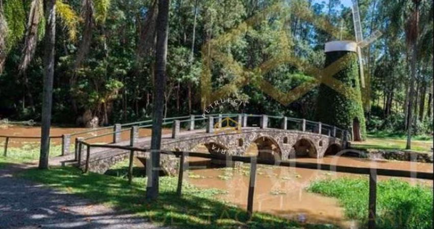 Terreno Comercial à venda, Swiss Park, Campinas - TE1769.