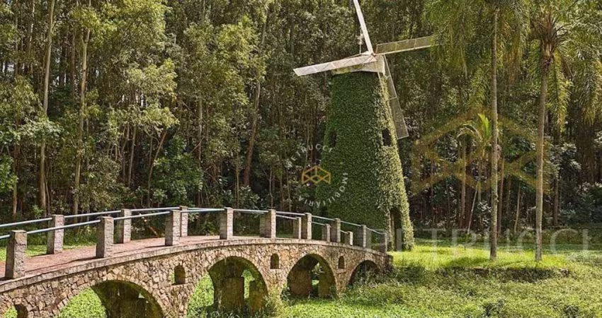 Terreno à venda, 391 m² por R$ 1.955.500,00 - Swiss Park - Campinas/SP
