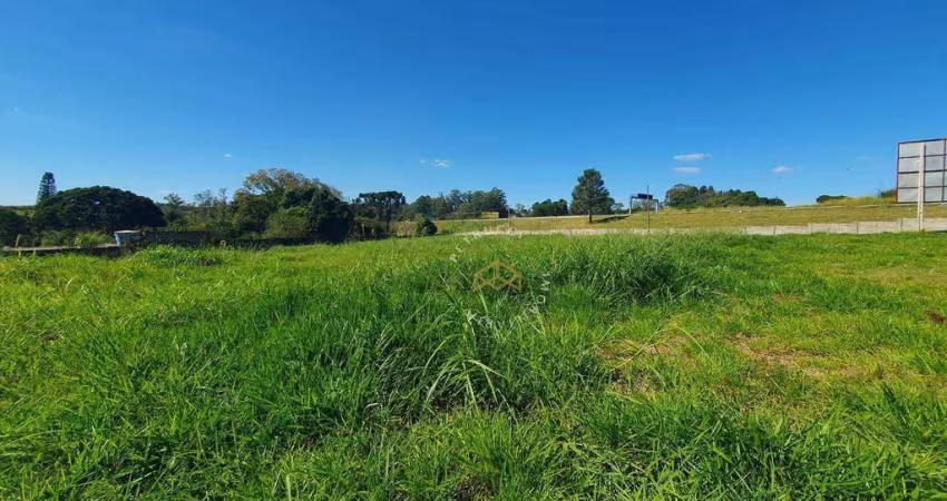 Terreno Residencial para venda e locação, Chácaras São Martinho, Campinas - TE3149.