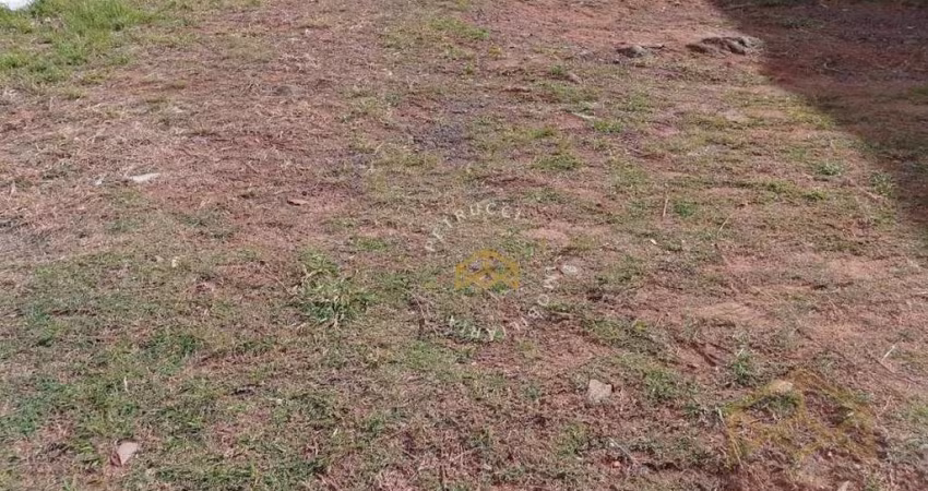 Terreno Residencial à venda, Cidade Universitária, Campinas - TE3925.