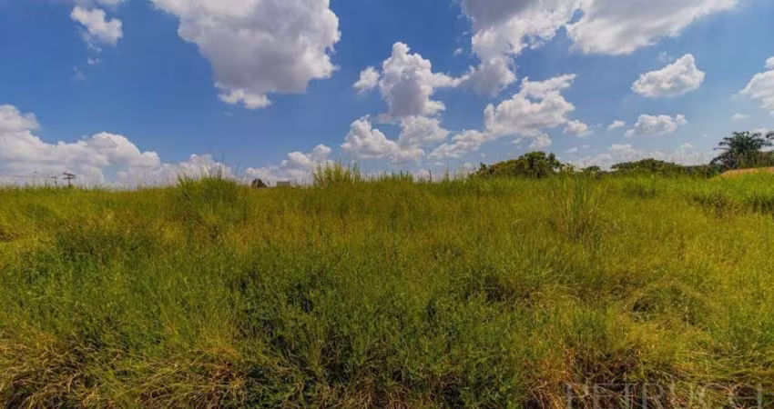 Terreno Residencial à venda, Jardim dos Calegaris, Paulínia - TE0066.