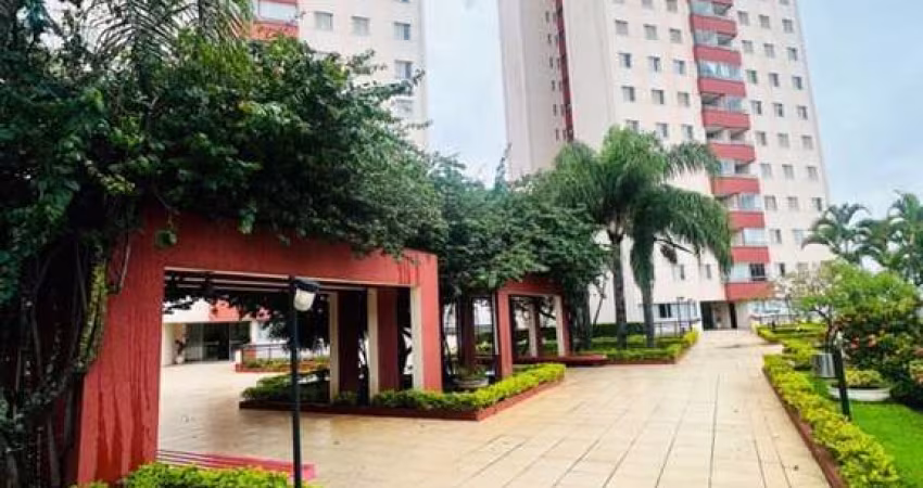 Apartamento Residencial à venda, Vila Marieta, Campinas - AP10981.