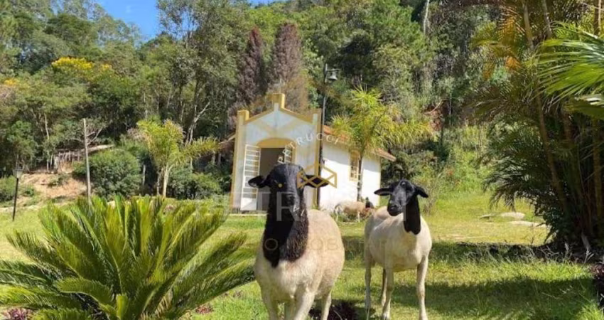 Fazenda com 7 dormitórios à venda, 170000 m² por R$ 5.600.000,00 - Quebec Ville - São Roque/SP
