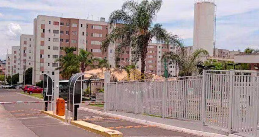 Apartamento com 2 dormitórios à venda, 47 m² por R$ 254.000,00 - Parque Yolanda (Nova Veneza) - Sumaré/SP