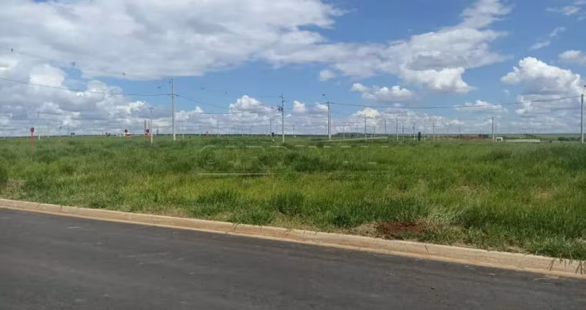 Terreno Padrão em São Carlos
