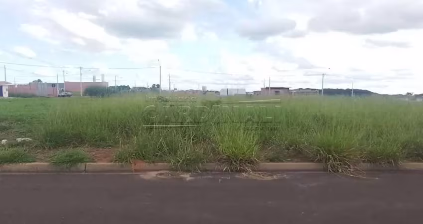 Terreno Padrão em São Carlos