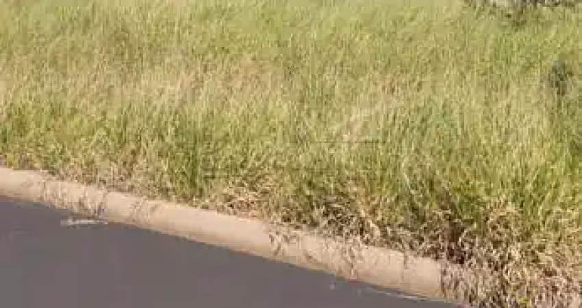 Terreno à venda na Rua Bela Cintra, Jardim dos Ipês, s/n, Água Vermelha, São Carlos