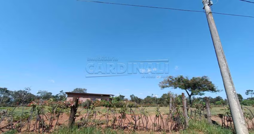 Terreno Padrão em São Carlos