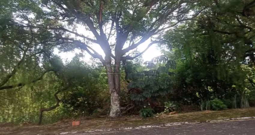 Terreno Padrão em São Carlos
