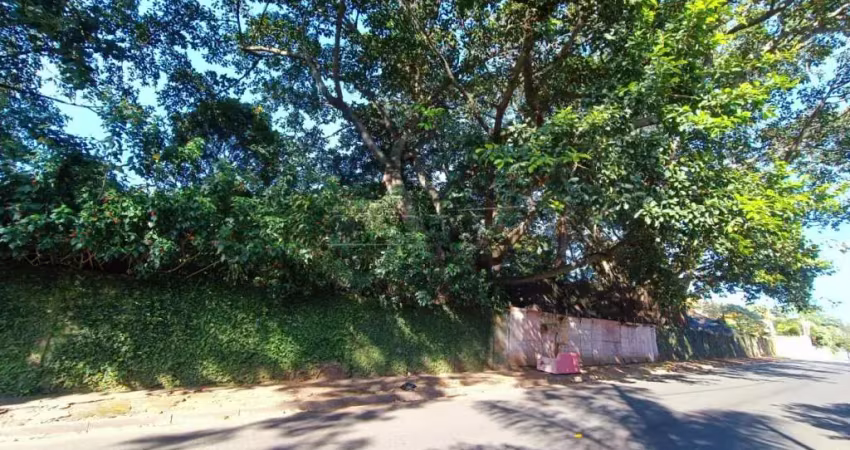 Terreno comercial para alugar na Rua Fritz Johansen, Vila Elizabeth, São Carlos