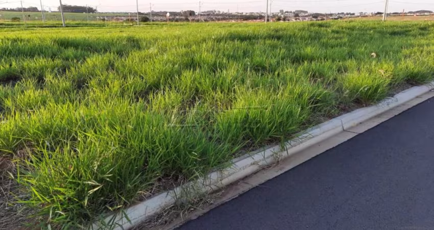 Terreno Padrão em São Carlos